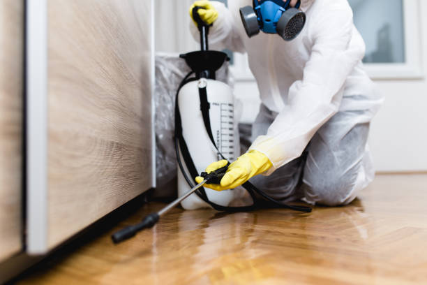 Wildlife Control Services in Brookings, OR