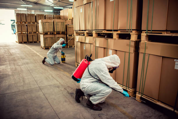 Best Emergency Pest Control  in Brookings, OR