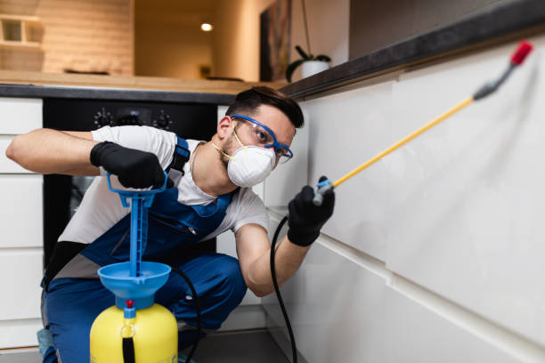 Best Mosquito Control Services  in Brookings, OR