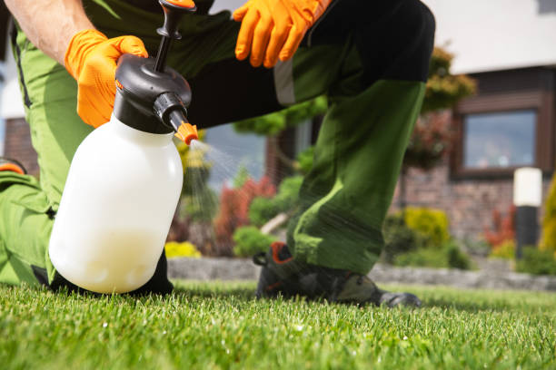 Best Rodent Control Near Me  in Brookings, OR