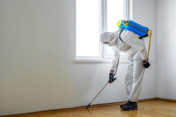 Best Best Pest Control Companies  in Brookings, OR