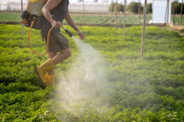 Best Wildlife Control Services  in Brookings, OR