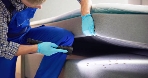 Best Local Pest Control Services  in Brookings, OR