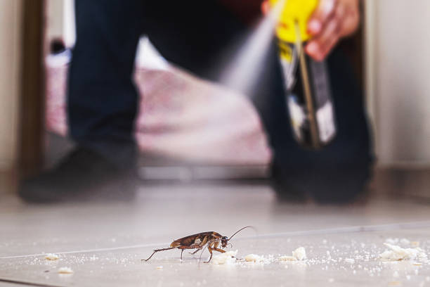 Trusted Brookings, OR Pest Control Experts