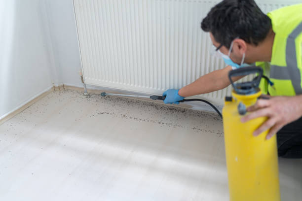 Best Affordable Pest Control Services  in Brookings, OR