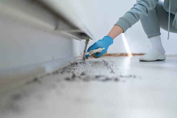 Best Wildlife Control Services  in Brookings, OR
