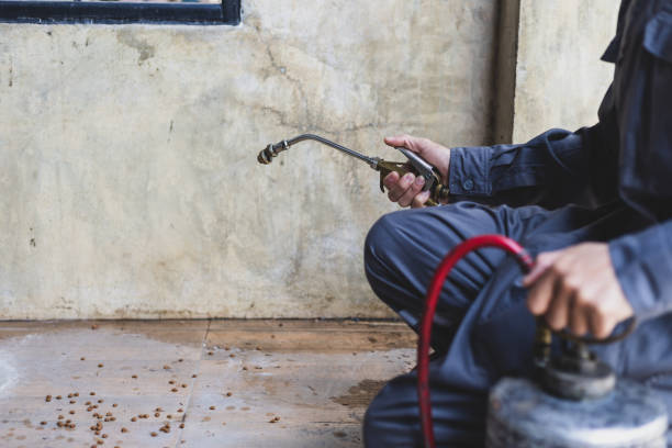 Pest Control Cost in Brookings, OR